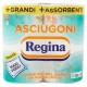 Asciugoni Regina Carta Cucina 2 Rotoli