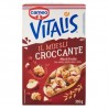 Cameo Vitalis Il Muesli Croccante Mix di Frutta 310 gr