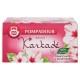 POMPADOUR Infuso Karkadè 20 filtri
