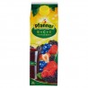Pfanner Frutti di Bosco 2 l