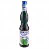 Sciroppo Menta Piperita Fabbri 560ML