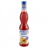Sciroppo Papaya Fabbri 560ML